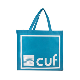 Customized Logo Recycle PLA Non Woven Fabric Shopping Bag Grocery Bag 