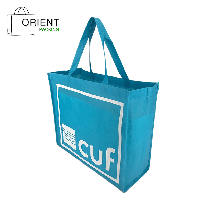 Customized Logo Recycle PLA Non Woven Fabric Shopping Bag Grocery Bag 