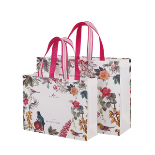  Reusable PP Non-woven Manufacturer Shopping Tote Bag 